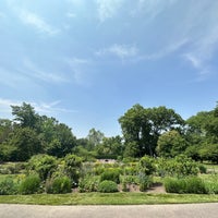 Photo taken at Missouri Botanical Garden Rose Gardens by Eric W. on 6/6/2023
