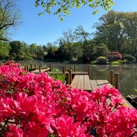 Photo taken at Missouri Botanical Garden Japanese Garden by Eric W. on 4/17/2024