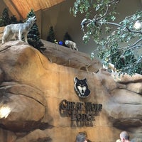 Photo taken at Great Wolf Lodge by Dave W. on 6/16/2015