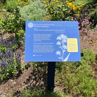 Photo taken at Kathrine Dulin Folger Rose Garden by Denise B. on 6/16/2022