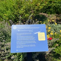 Photo taken at Kathrine Dulin Folger Rose Garden by Denise B. on 6/16/2022