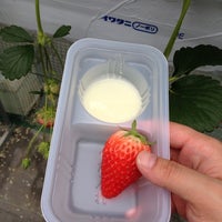 ストロベリーフィールズナカヤマ 1 Tip From 12 Visitors
