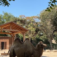Photo taken at Bakı Zooparkı / Baku Zoo by 👑 on 9/29/2023