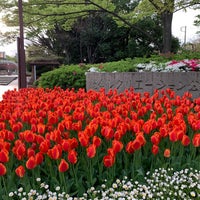 Photo taken at Sogo Recreation Park by くそむし on 4/15/2024