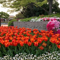 Photo taken at Sogo Recreation Park by くそむし on 4/18/2024