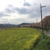 都幾川桜堤 大蔵 0 Tips 都幾川桜堤 大蔵 0 Tips