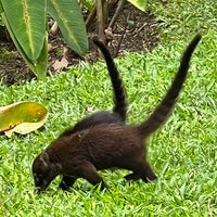 Photo taken at Arenal Observatory Lodge and Spa by Olivier N. on 8/7/2022