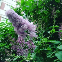 Photo taken at Сходненский ковш by BossAlya on 5/30/2019