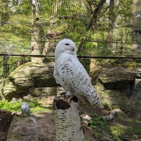 Photo taken at Zoo Rostock by Norsin T. on 4/30/2024