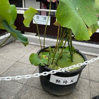 Photo taken at Shin-Kemigawa Station by こげ太郎 こ. on 7/15/2023