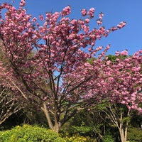 Photo taken at 花島公園 by こげ太郎 こ. on 4/6/2021