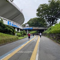 駒沢オリンピック公園ジョギングコース 駒沢公園 駒沢公園1 1 駒沢オリンピック公園ジョギングコース 駒沢公園 駒沢公園1 1