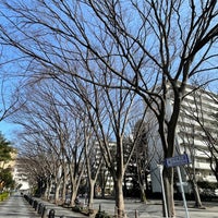 Photo taken at けやき広場 by Ryan T. on 3/1/2021