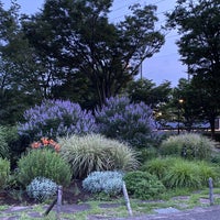 円形花壇 1 Tip From 177 Visitors 円形花壇 1 Tip From 177 Visitors