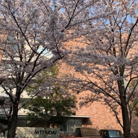 Photo taken at 学校法人 日本体育大学 by Ryan T. on 4/7/2019