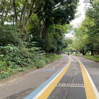 駒沢オリンピック公園ジョギングコース 駒沢公園 駒沢公園1 1 駒沢オリンピック公園ジョギングコース 駒沢公園 駒沢公園1 1