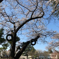 Photo taken at 東京学芸大学附属 世田谷小学校 by Ryan T. on 3/25/2018