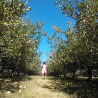 Foto tirada no(a) Rock Hill Orchard por Clifton W. em 9/27/2014