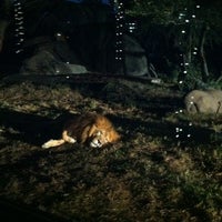Photo taken at Houston Zoo Lights 2012 by Meg on 12/20/2012