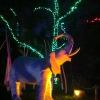 Photo taken at Houston Zoo Lights 2012 by Meg on 12/19/2012
