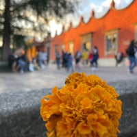 Photo taken at Plaza Hidalgo by Sergio N. on 11/13/2021