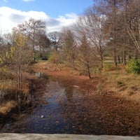 Photo taken at Forest Park Pond by Baron C. on 11/23/2012