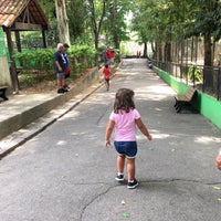 Photo taken at Jardim Zoológico do Rio de Janeiro by Miriam M. on 1/19/2019