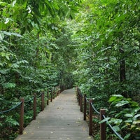 Photo taken at The Rain Forest by Jan H. on 1/31/2024
