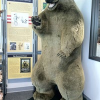 chelsea teddy bear company