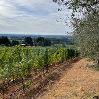 Photo taken at Domaine Roy et Fils by Andy on 9/17/2022