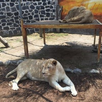 Photo taken at Zoo Parque Loro by Ricardo E. on 6/5/2016