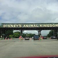 Animal Kingdom Parking Lot - Walt Disney World