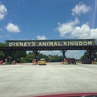 Animal Kingdom Parking Lot - Walt Disney World