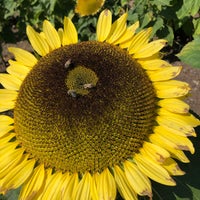 Photo taken at District of Central Saanich by Ren İ. on 9/5/2020