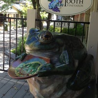 Frog's Tooth Vineyards - 3 tips from 177 visitors