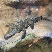 Photo taken at Крокодиляриум by Ira N. on 11/12/2019