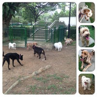 Dog Run Katong Park Dog Run In Marine Parade Dog Run Katong Park Dog Run In Marine Parade