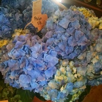 Arena S Inc Flower Shop In Rochester