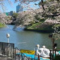 Photo taken at 千鳥ヶ淵ボート場 by Hiromi S. on 4/9/2024