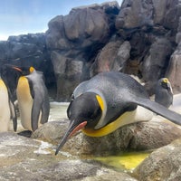 Photo taken at Odense Zoo by Nut C. on 7/4/2022