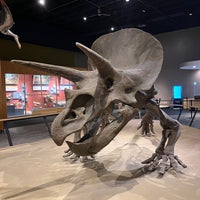 Photo taken at Cleveland Museum of Natural History by Gregg P. on 9/18/2022