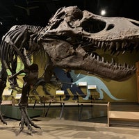 Photo taken at Cleveland Museum of Natural History by Gregg P. on 9/18/2022