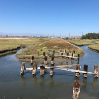 Photo taken at Ballona Wetlands by Cheryl T. on 8/17/2019