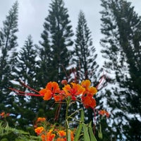 Photo taken at Umauma Falls Zipline &amp;amp; Rappel Experience by Cheryl T. on 12/11/2021