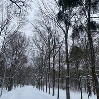 Photo taken at Dubki Park by Volodia Shadrin on 12/24/2021