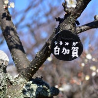 Photo taken at 水月公園 by kaname k. on 1/28/2024
