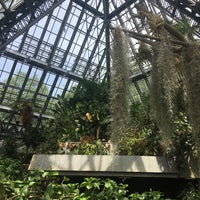 花の文化園 大温室 河内長野市 大阪府 花の文化園 大温室 河内長野市 大阪府