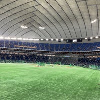 Photo taken at Left Field Stand by わん on 9/8/2022