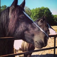 Das Foto wurde bei Gypsy Gold Horse Farm von Nancy👙🌴☀️ am 2/4/2014 aufgenommen