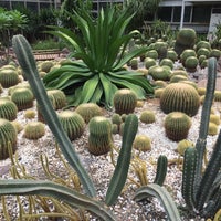 Photo taken at Chengdu Botanic Garden by Rafael R. on 8/10/2017